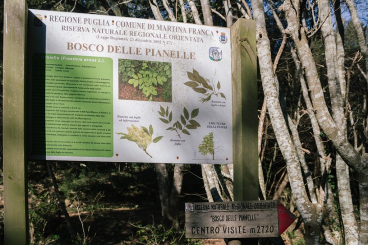 Bosco delle Pianelle, Puglia